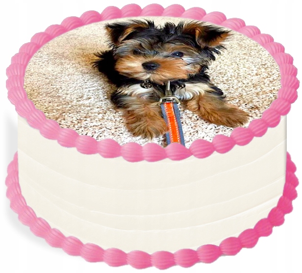 oplatek na dort 14 cm Zvířata Pejsek Narozeniny