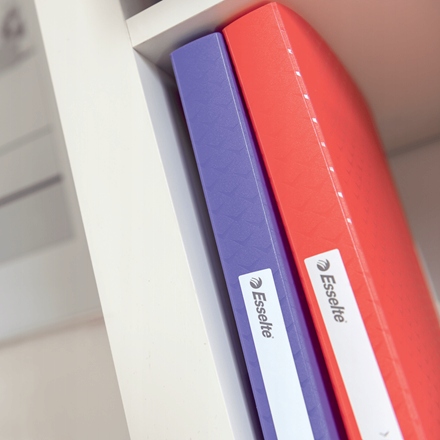 Album ofertowy Esselte Colour Breeze, A4, 80 koszulek, koralowy, 628445 Format A4