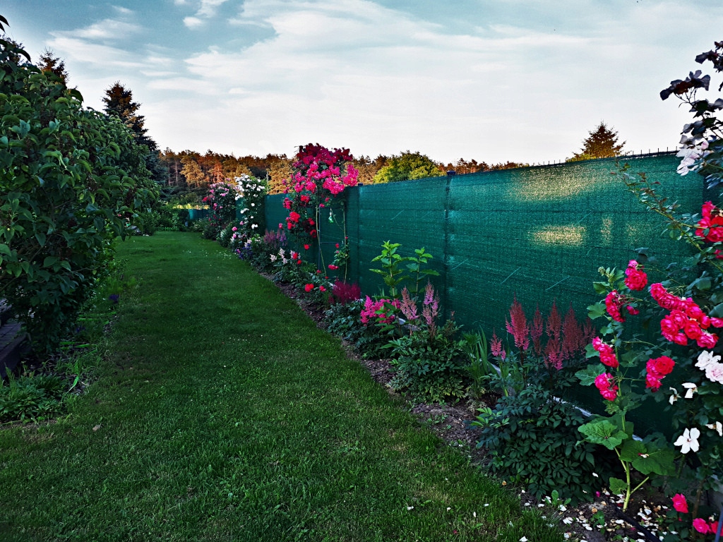 SIATKA CIENIUJĄCA 90% MASKUJĄCA MATA OSŁONOWA NA OGRODZENIE PŁOT 1,5x25m UV Kształt Prostokątny