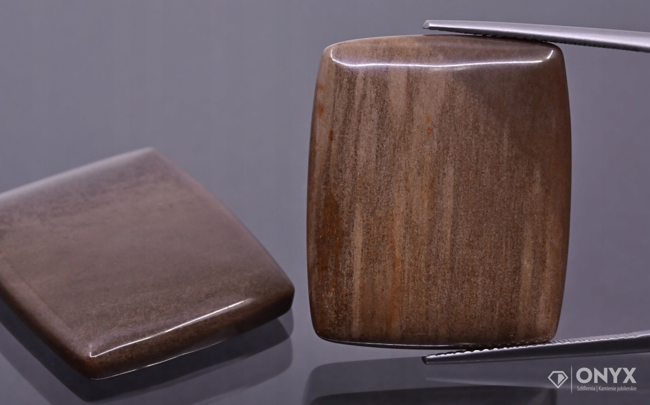 Zkamenělé dřevo nízký kabošon cushion 28,5x24 mm