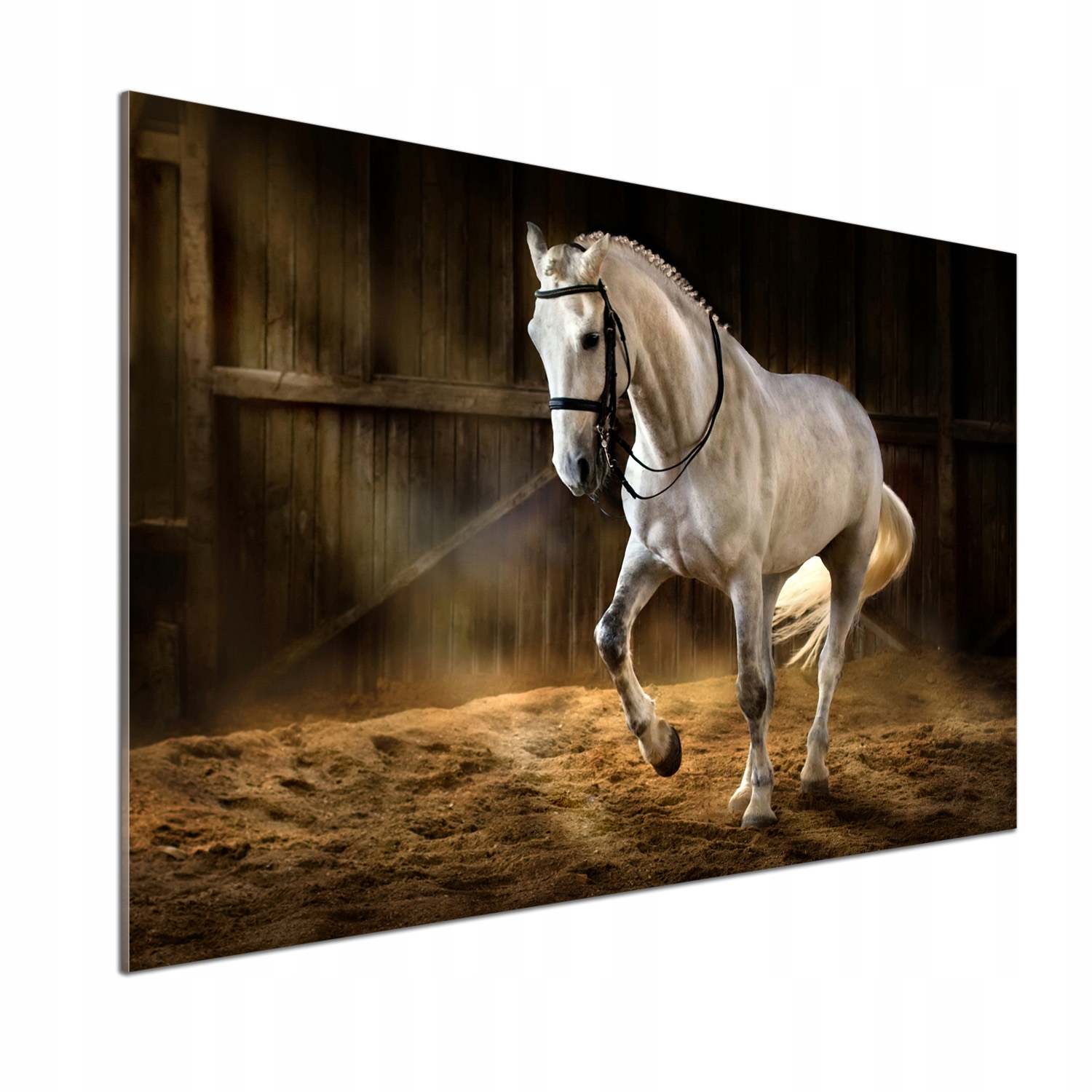 Panel do kuchyne Biely kôň 100 x 70 cm Lepidlo Darček