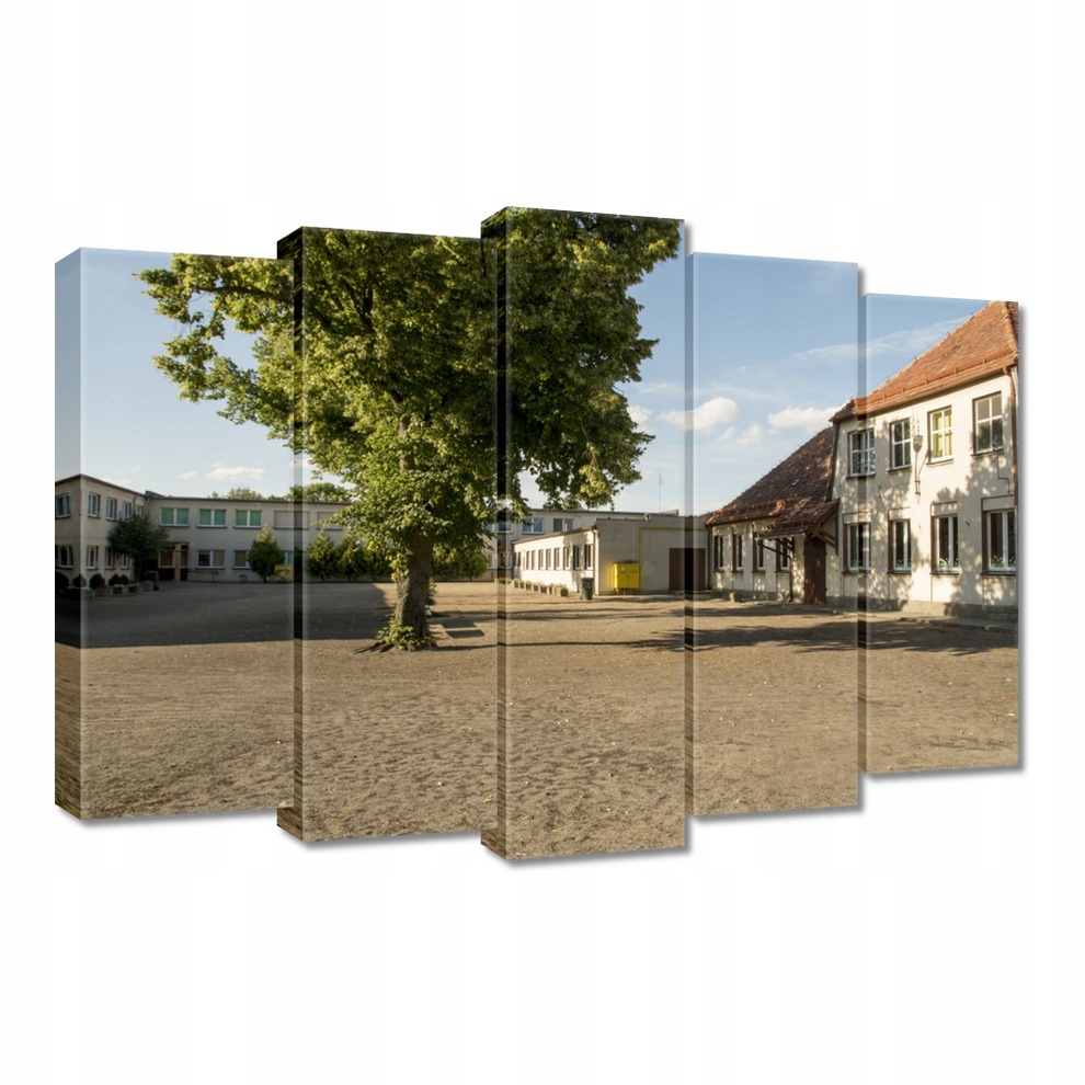

Obrazy 70x50 Szkoła w Siedlcu