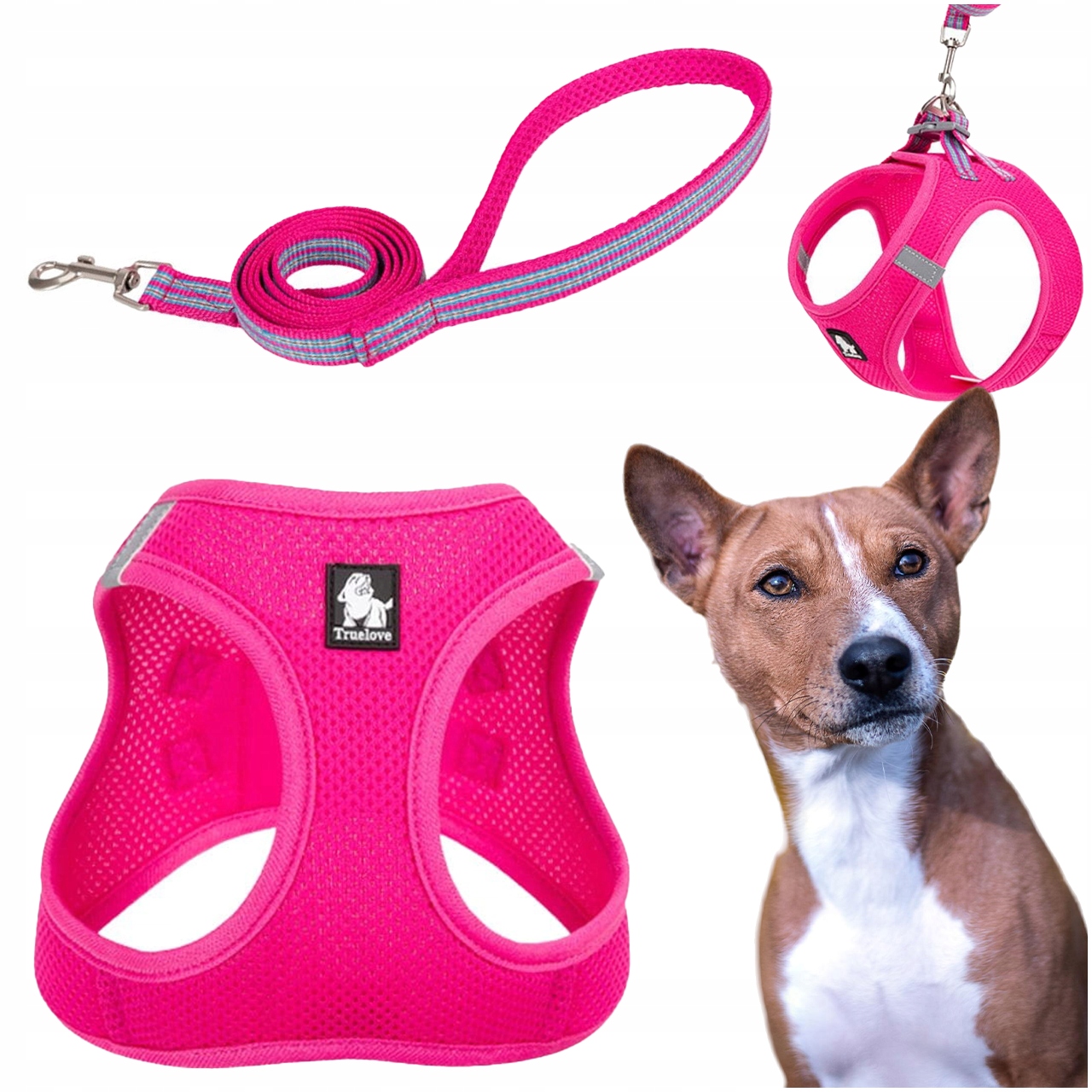 Levně Postroj Vodítko Pro Malého Psa Nebo Kočku Truelove Mini Růžové Velikost M Sada