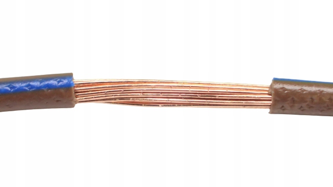 

Przewód Kabel Flry-b 1x0,5 Brązowo Niebieski 10m