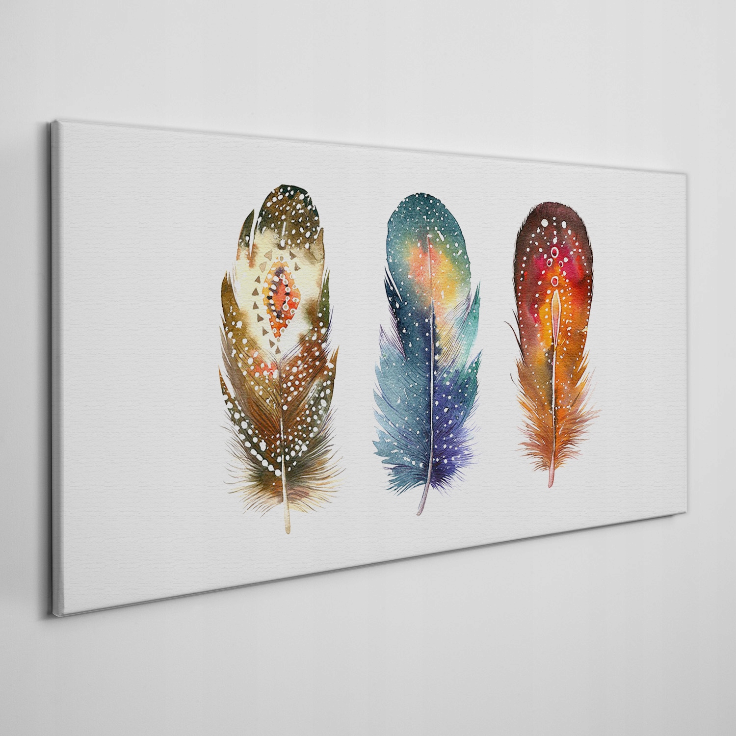 

Obraz na ścianę do salony płótno Pióra 140x70 cm