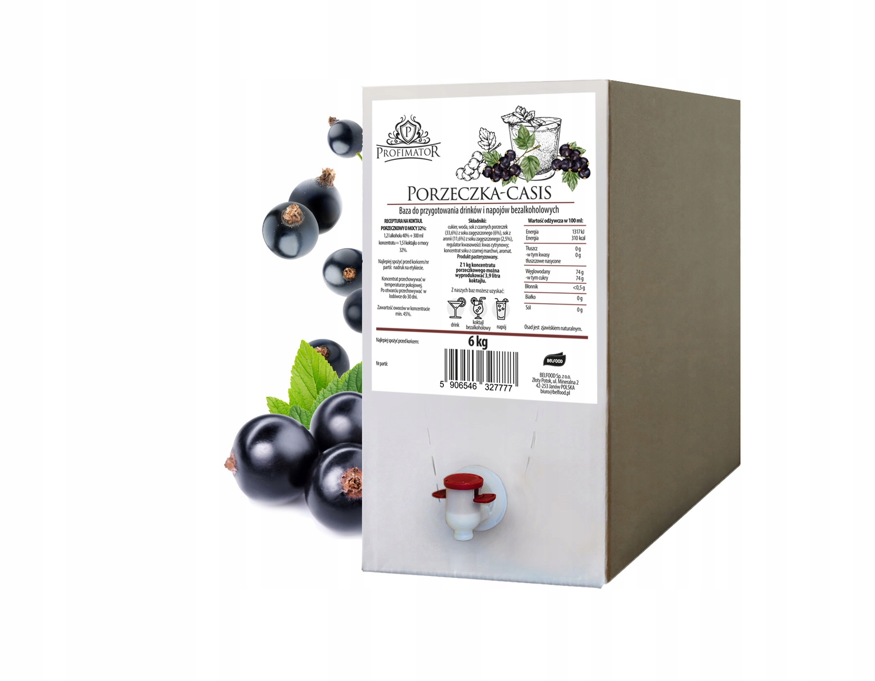 Syrop barmański baza do drinków koncentrat Profimator Porzeczka box 6 kg