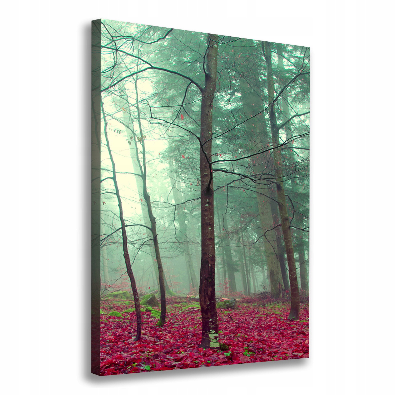 

Foto obraz canvas do salonu Las jesienią 70x100