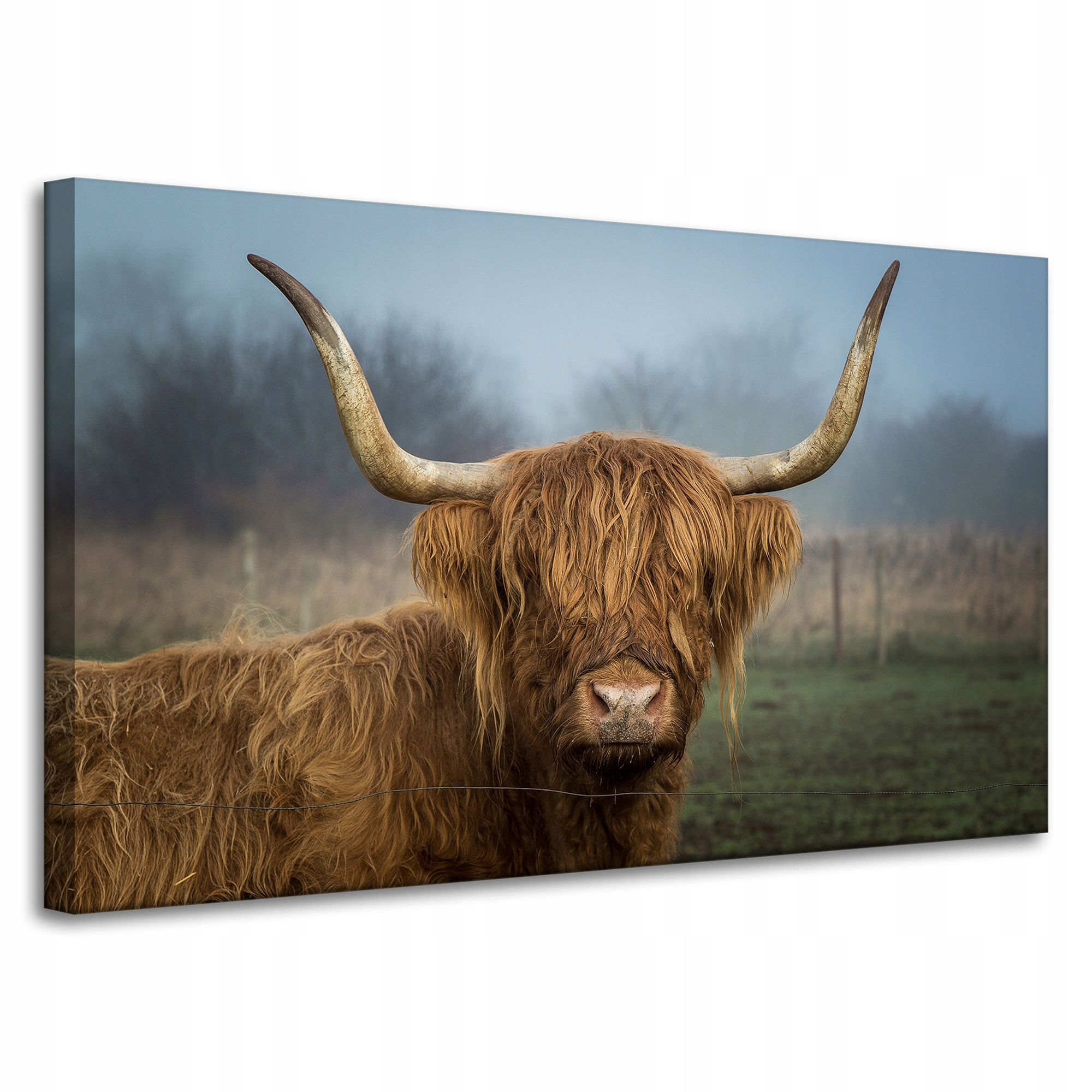 Obraz Canvas Zvířata Kráva na plátně 100x60 cm