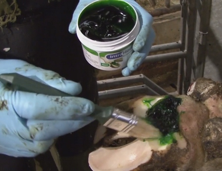 Żel do kopyt Hoof-Fit 330 ml Kod producenta 01-3372