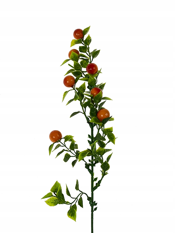 

Dodatek z pomarańczowym owocem E133 (50cm)