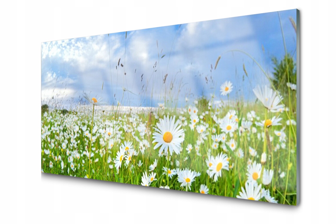 

Panel szklany dekor Łąka Stokrotki 120x60 + Klej