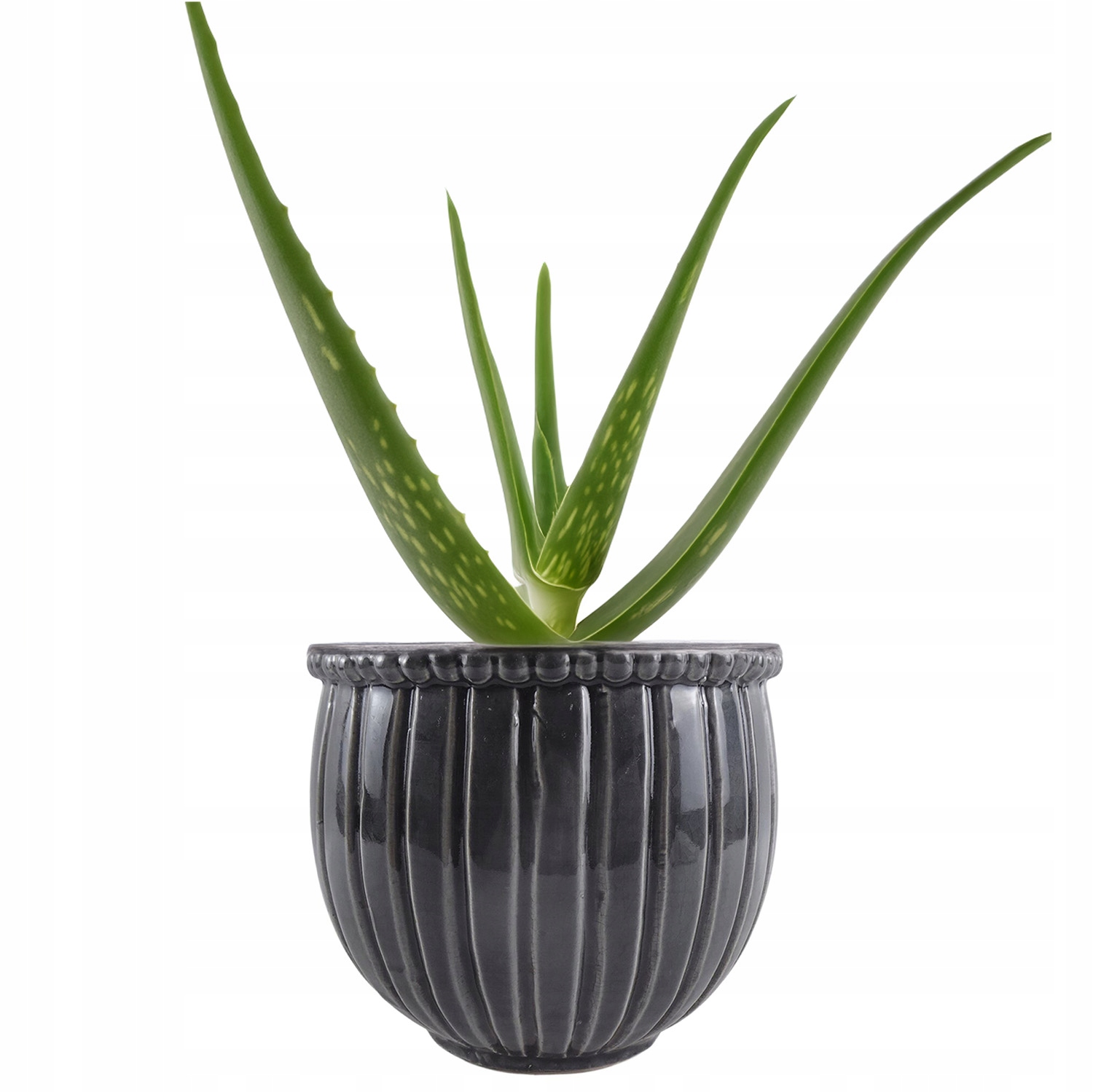 Květináč Na Balkon Terasa 21 cm velký keramický šedý kulatý bonsaj aloe