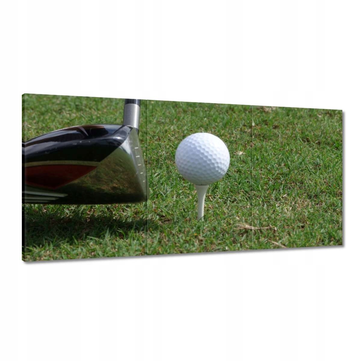 Obrazy 180x90 Golf