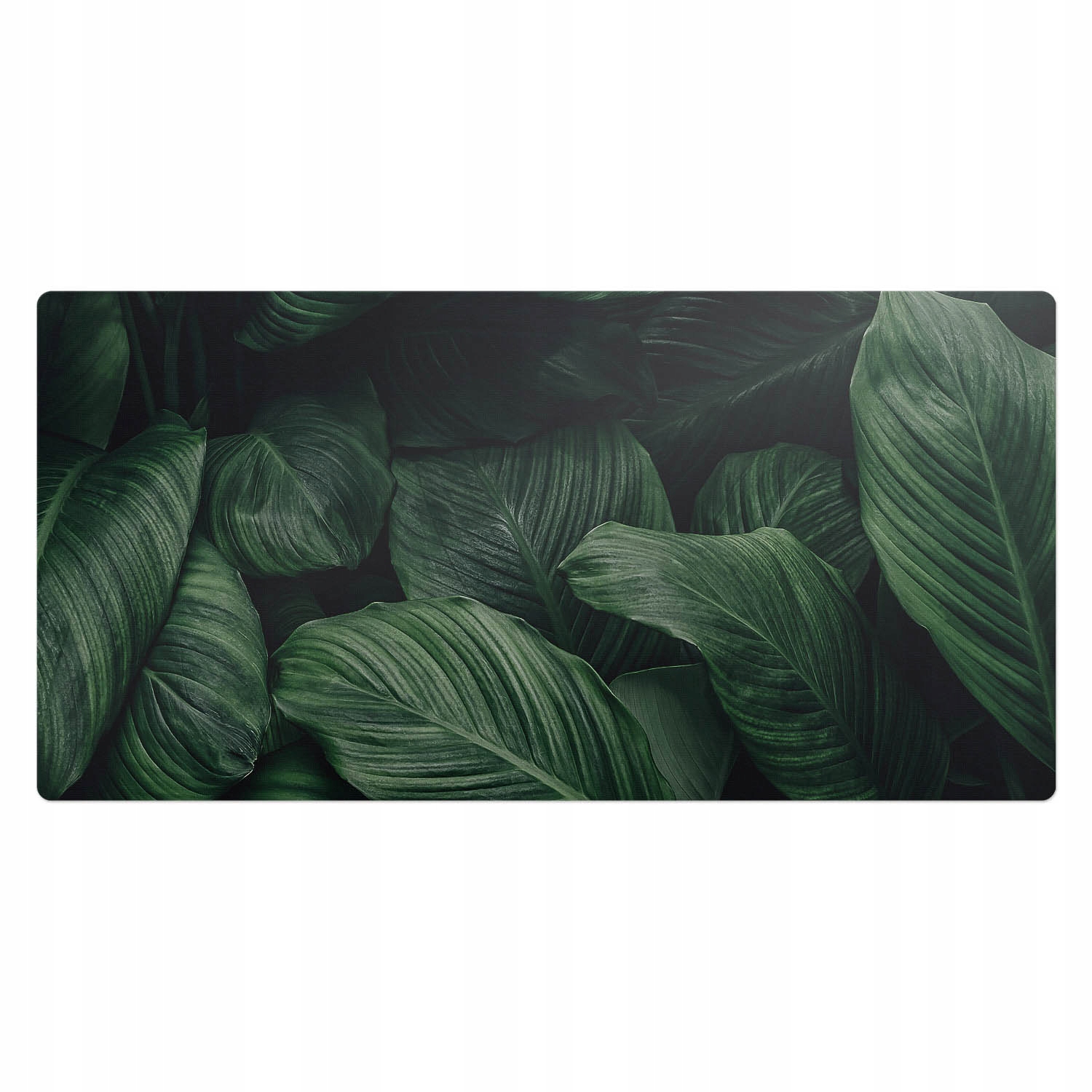 Protiskluzová podložka na psací stůl Exotické listy ve stylu tropů 100 x 50 cm