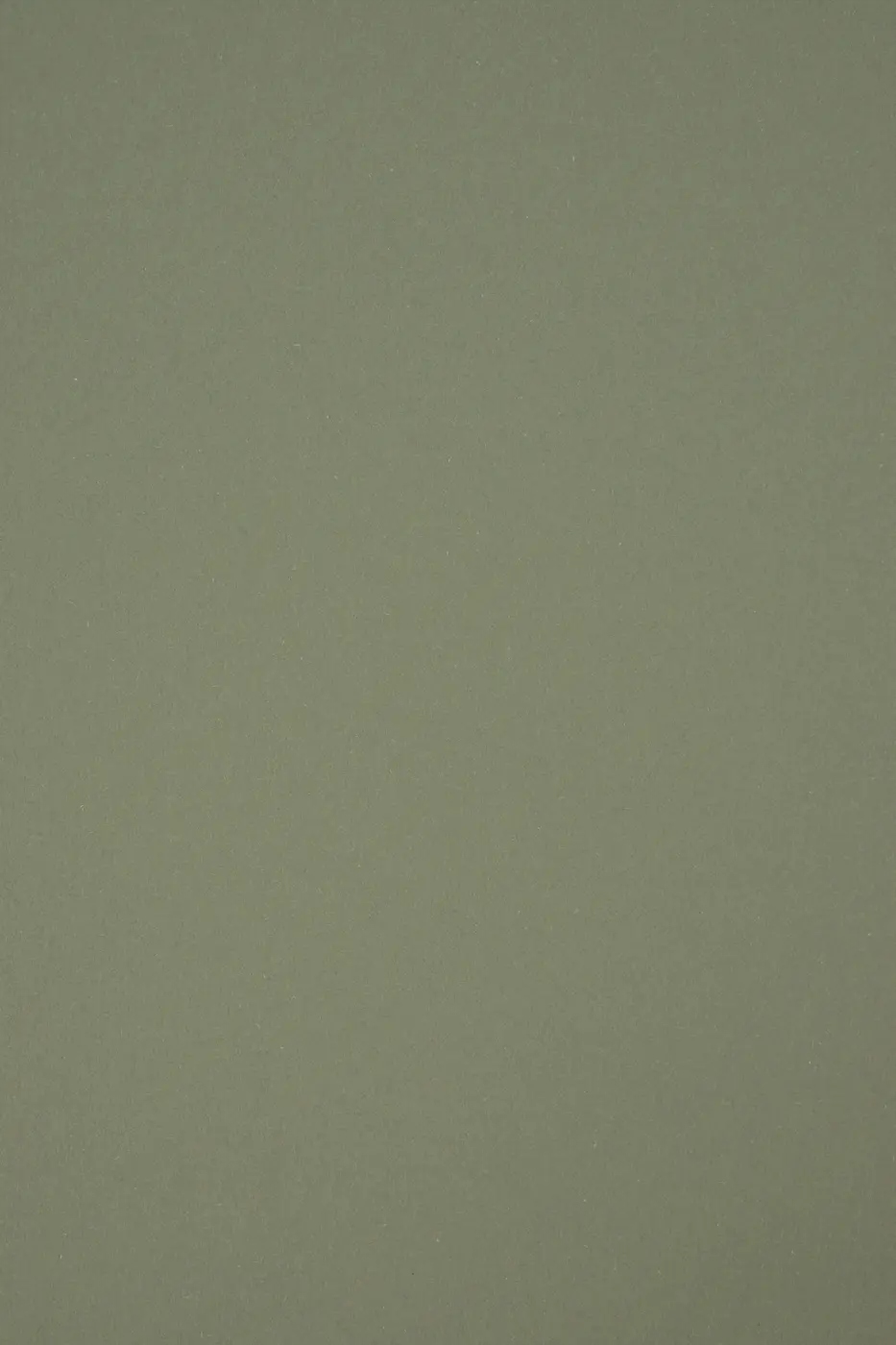

Papier eko Materica 250g Verdigris oliwkowy 10A4