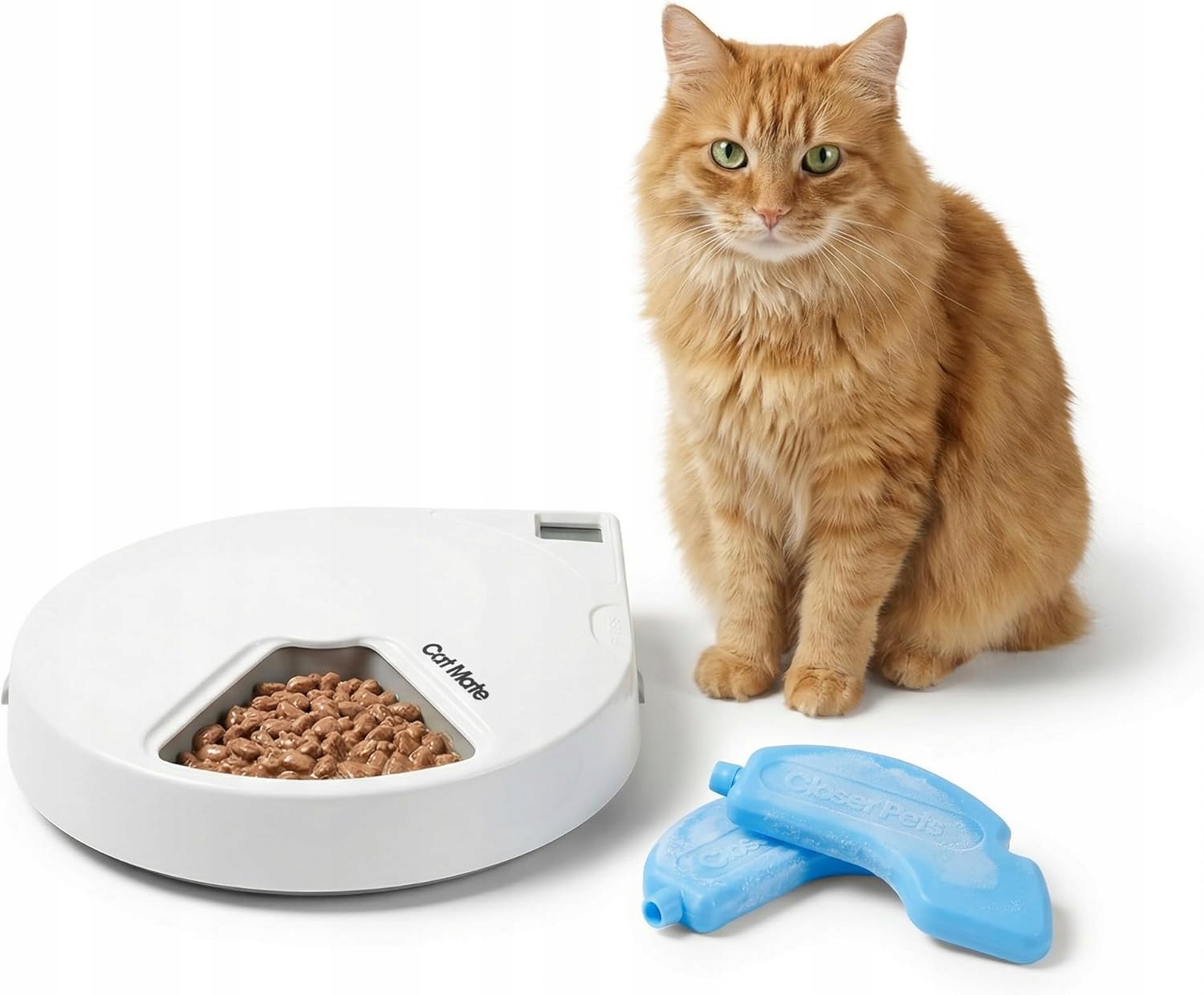 Automatyczne Karmidło Dla Kota Cat Mate C500 5 Porcji Białe