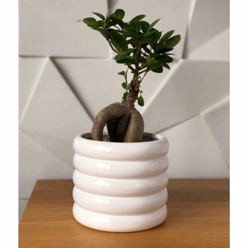 Biała osłonka na doniczkę walec 15 cm Polnix Marka Polnix