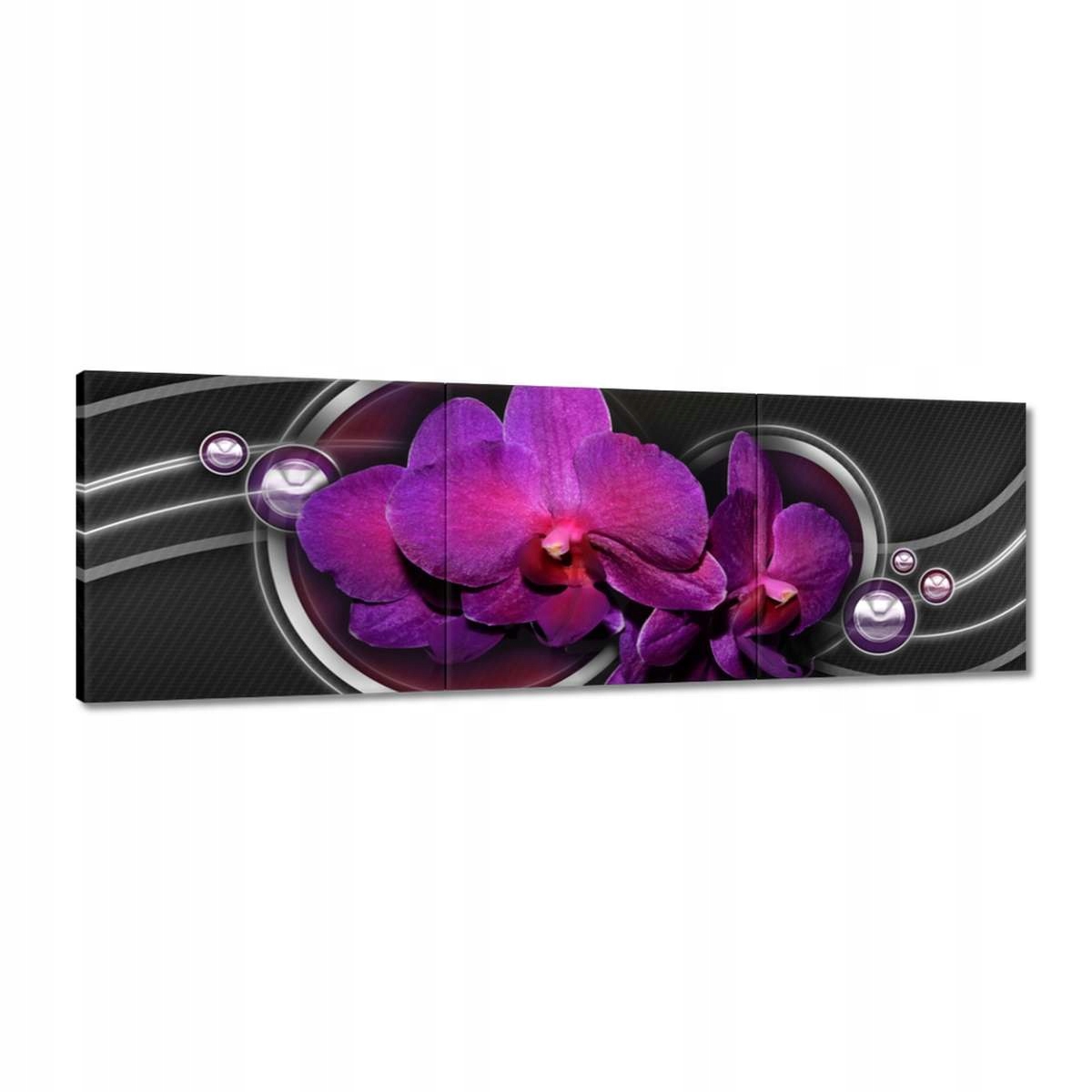 Obrazy 150x50 Fialový oleandr