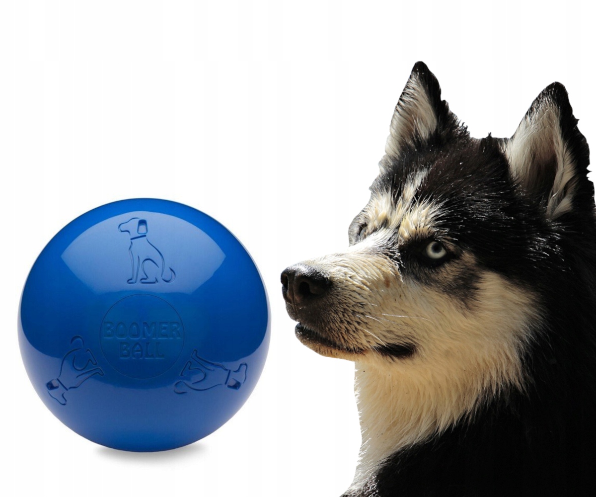 

Piłka dla psa Boomer Ball XL 25cm niebieska