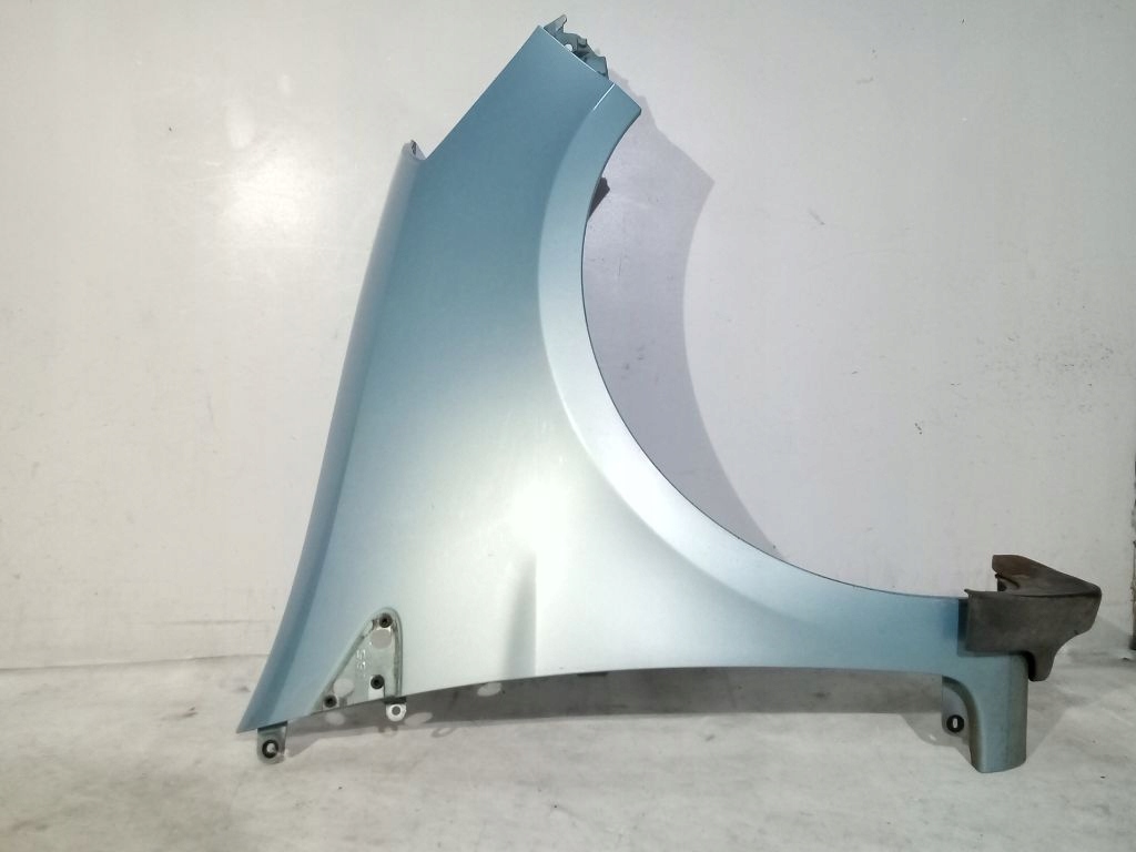 Renault Clio III fender right right side (185) TERNK