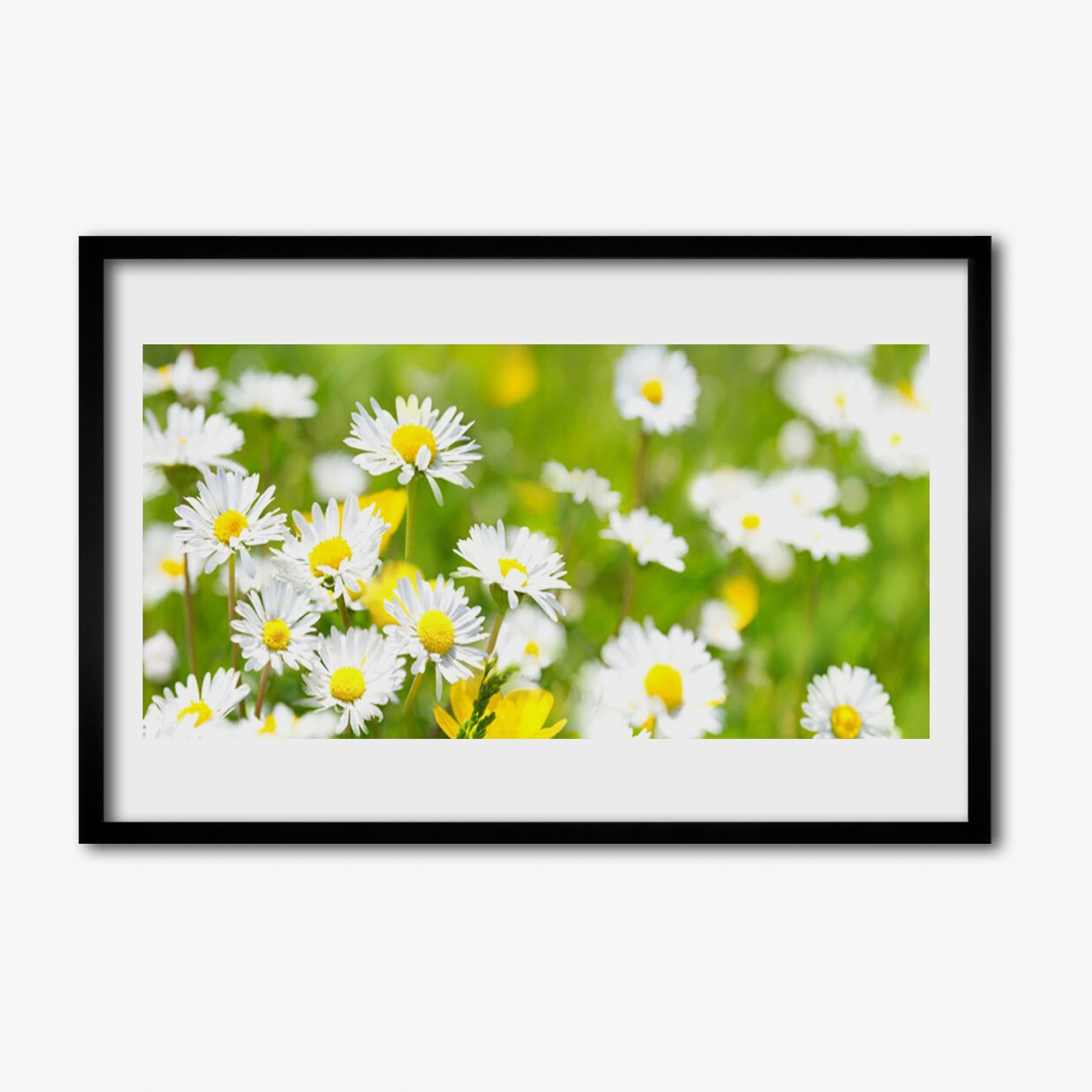 Závěsný fotoobraz s rámečkem Sedmikráska květina 60x40