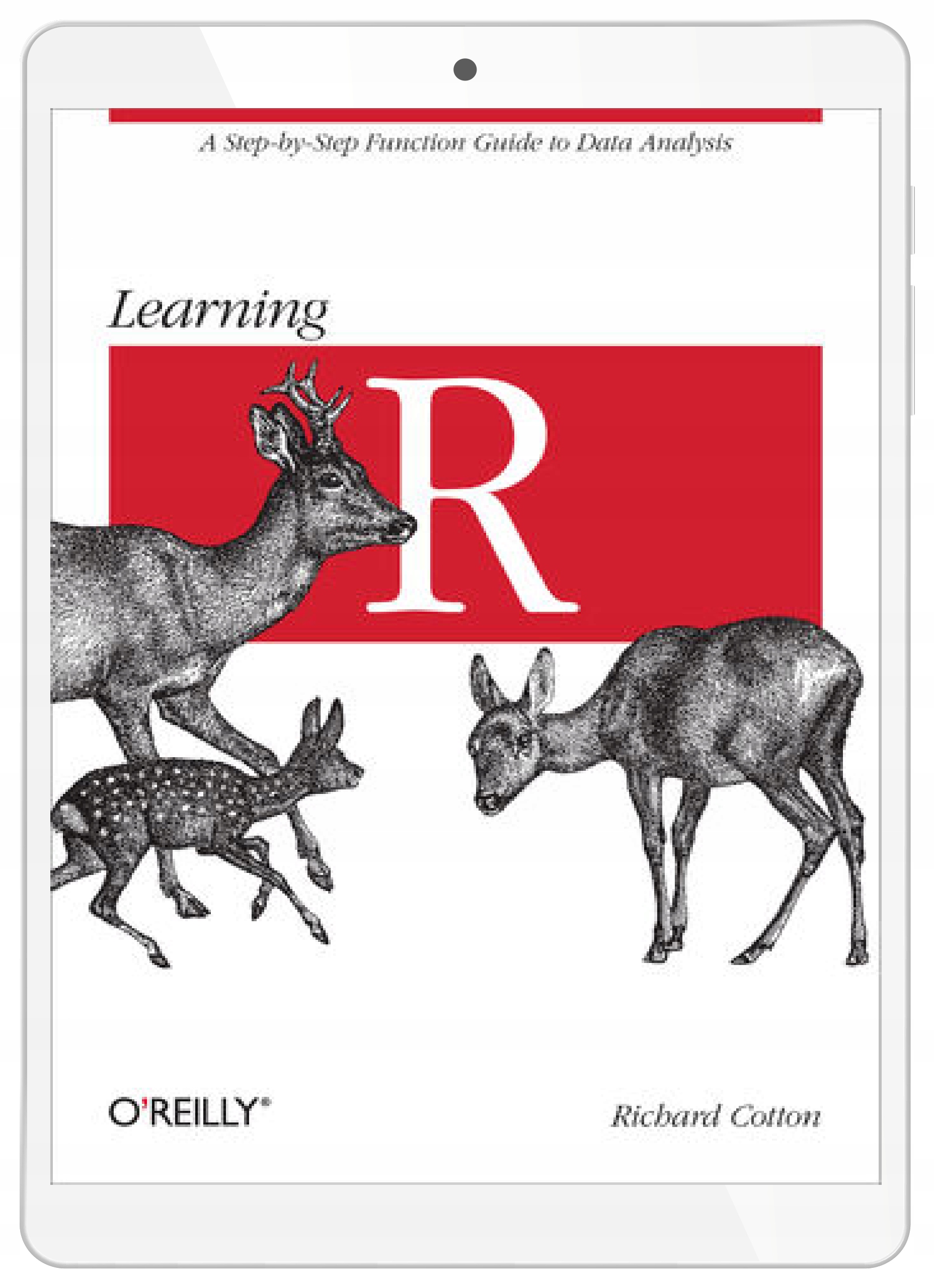 Learning R. A Step-by-Step Function Guide to Data
