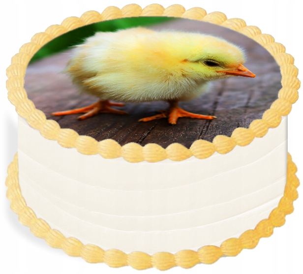 Levně oplatek na dort 20 cm Zvířata Farma Kuře