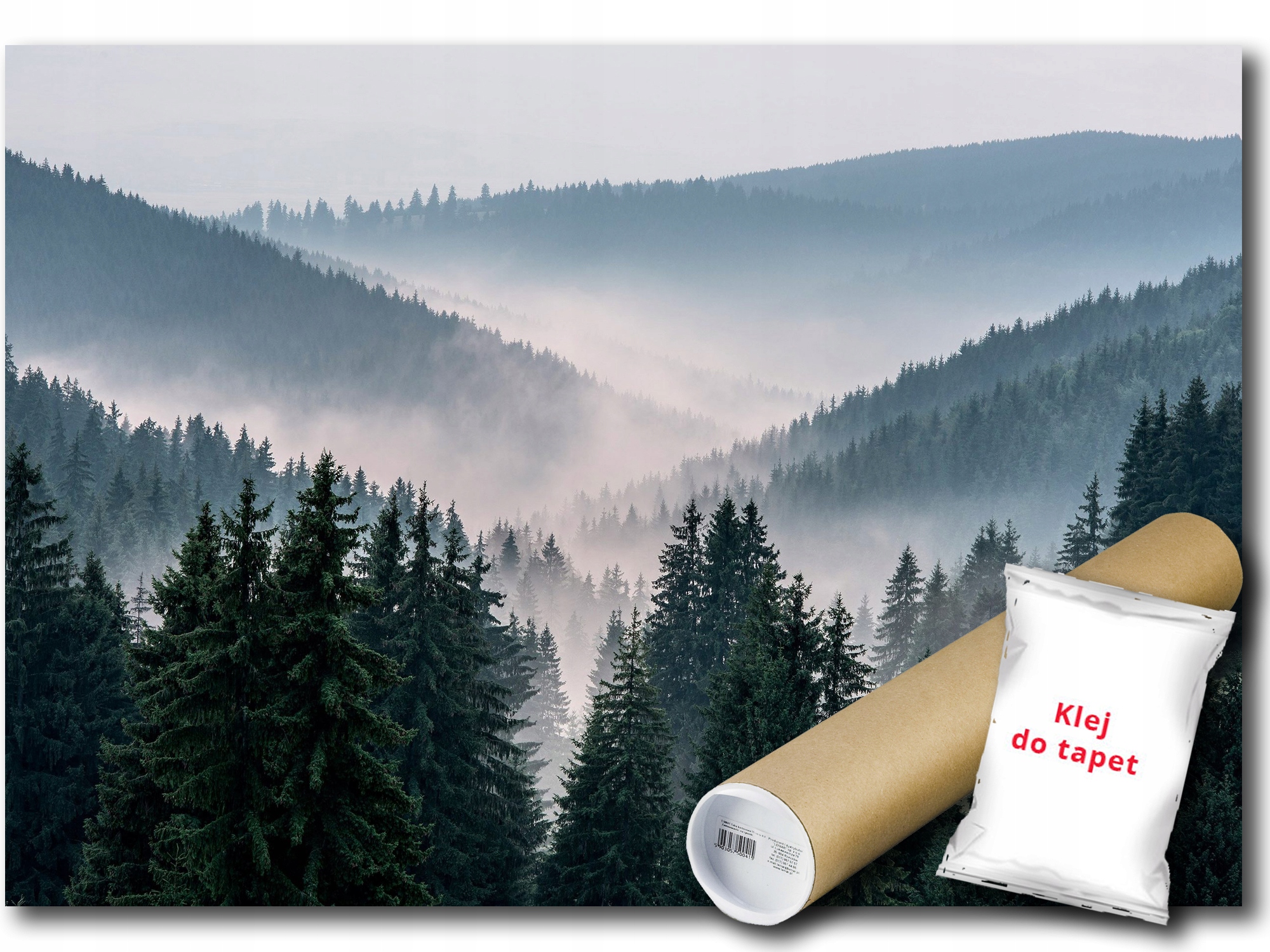 Fototapeta Flizelina Les Hory Mlha Pohled 416x254