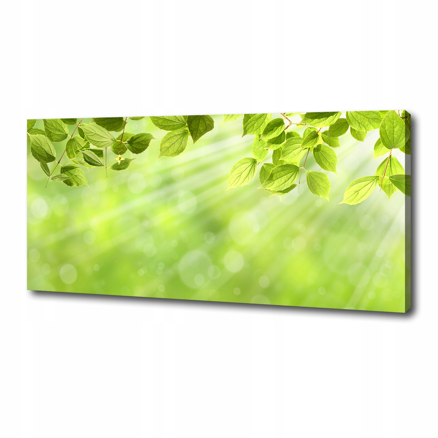

Foto obraz duży canvas na ścianę Liście 125x50 cm