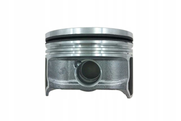 Поршень VIKA 11071559601