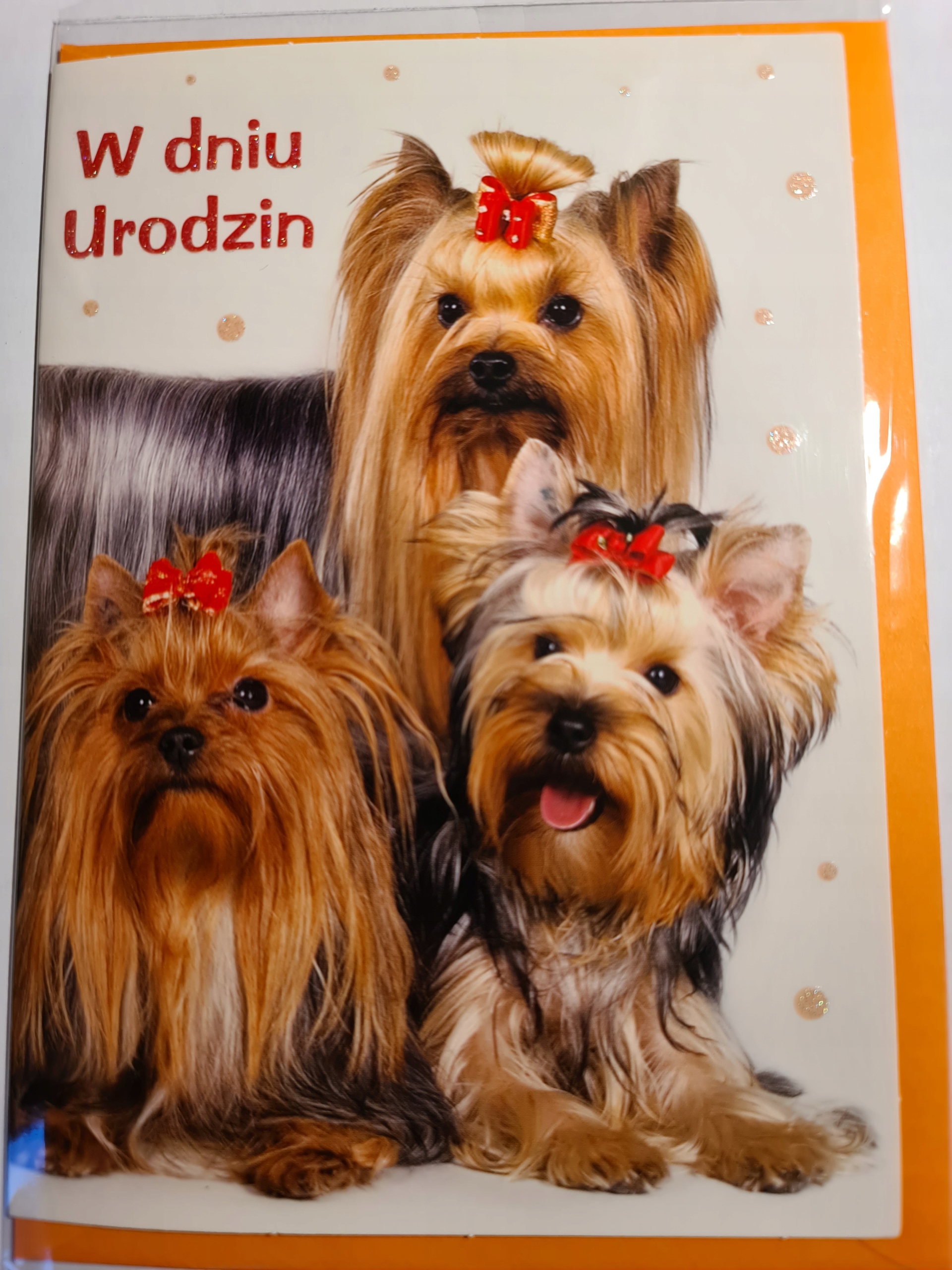 

Kartki urodzinowe kartka urodzinowa karnet urodzi