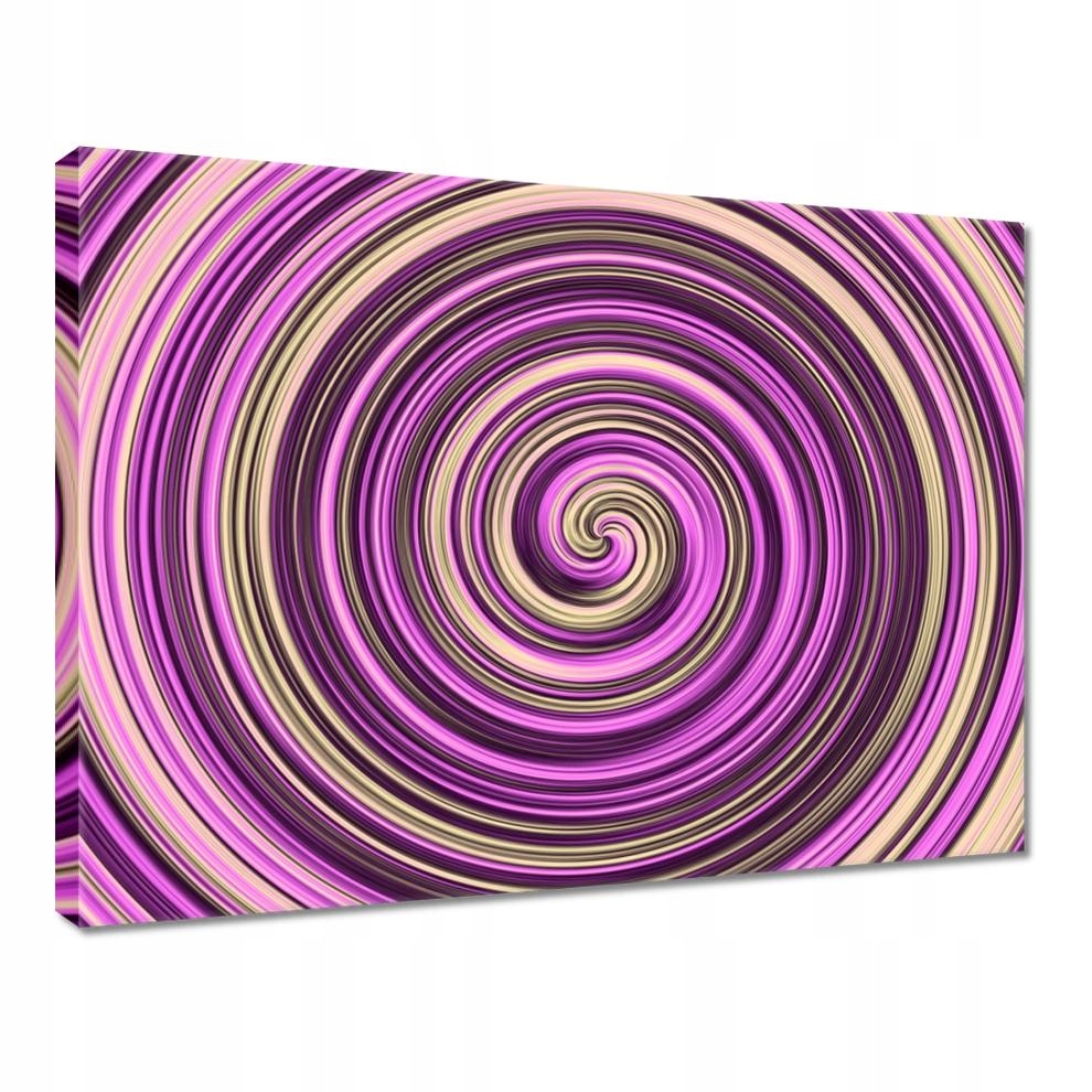 

Obrazy 40x30 Ślimak z fioletem