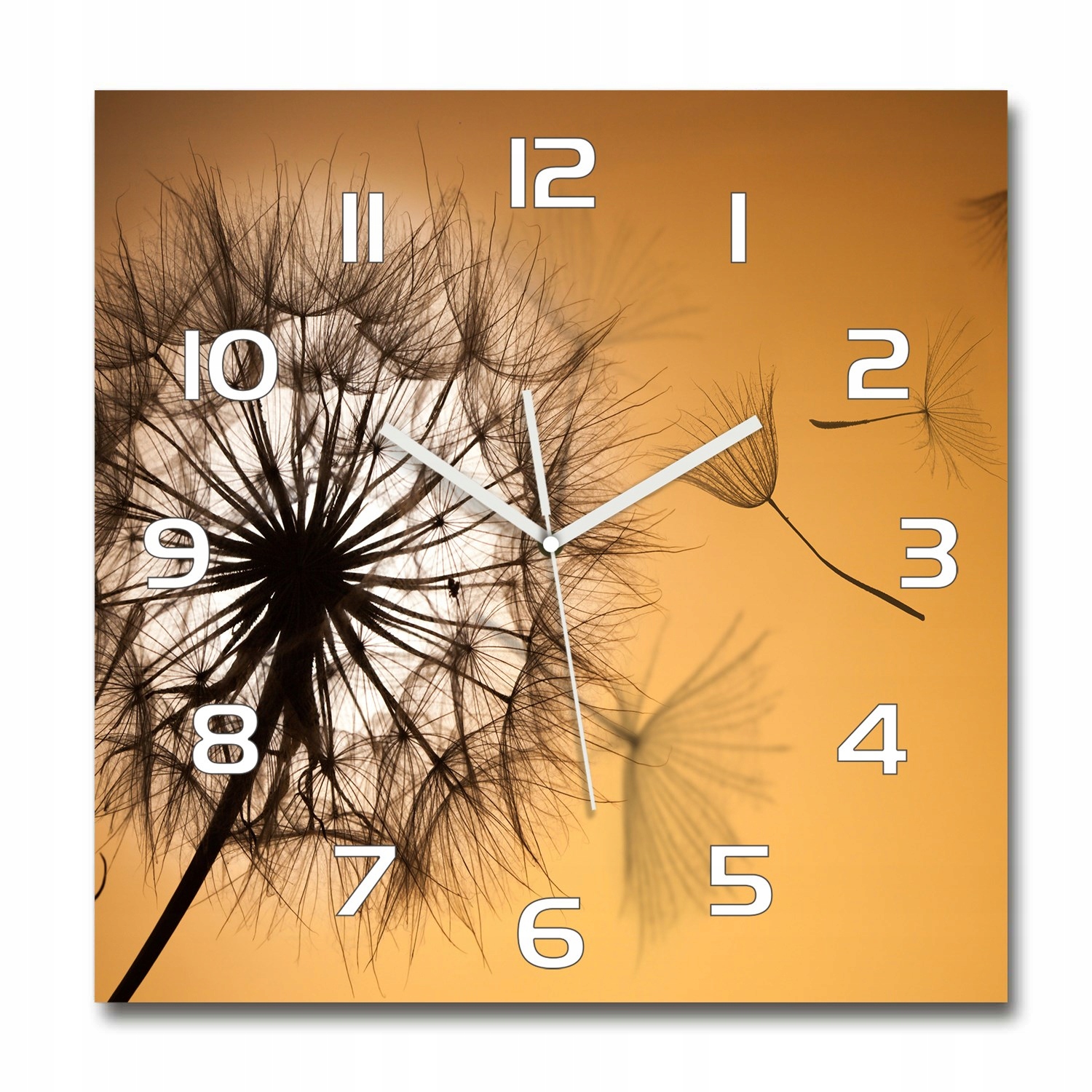 

Duży kwadratowy szklany zegar Dmuchawiec 60x60 cm