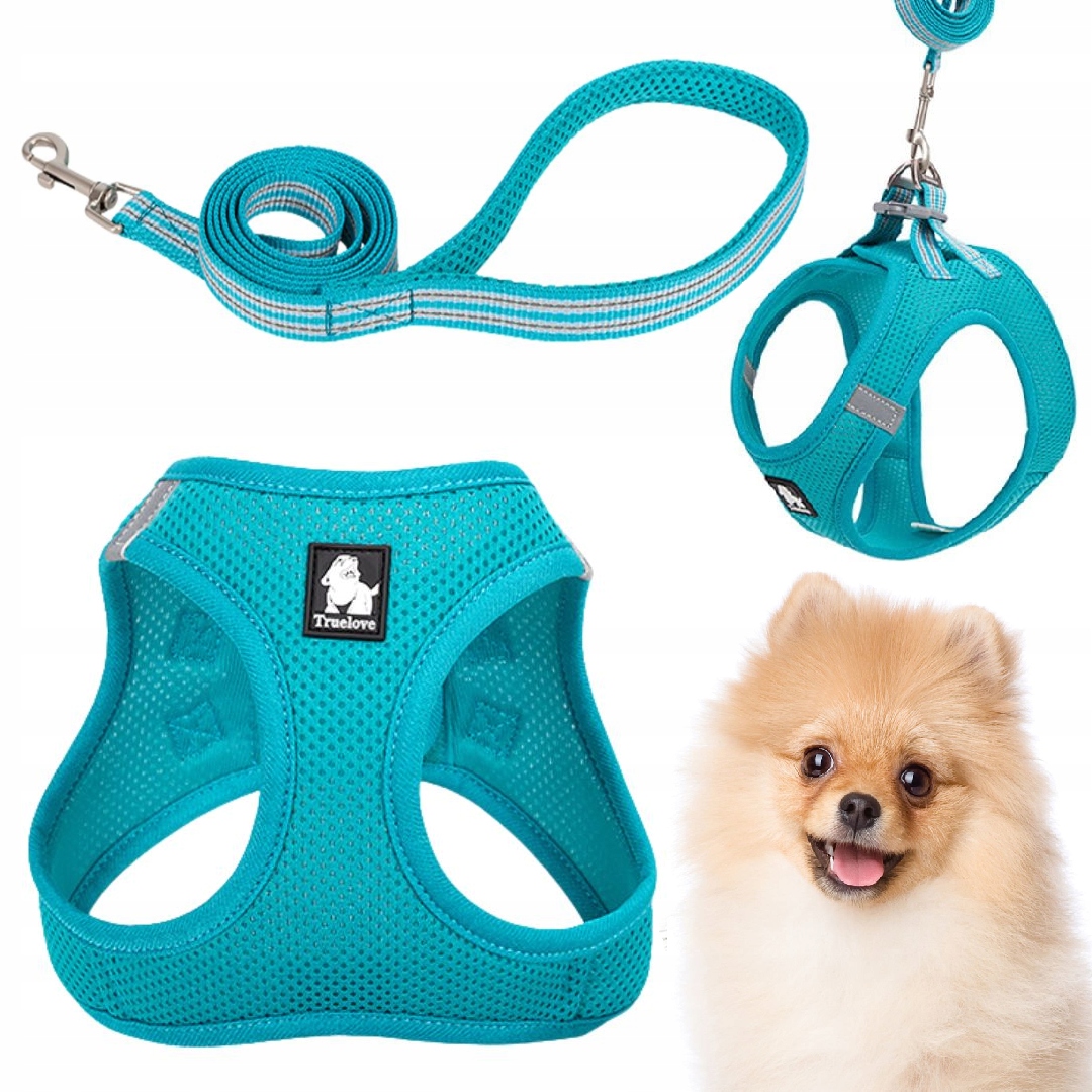 Levně Postroj Vodítko Pro Malého Psa Kočky Truelove Mini Modrý Xxs Set
