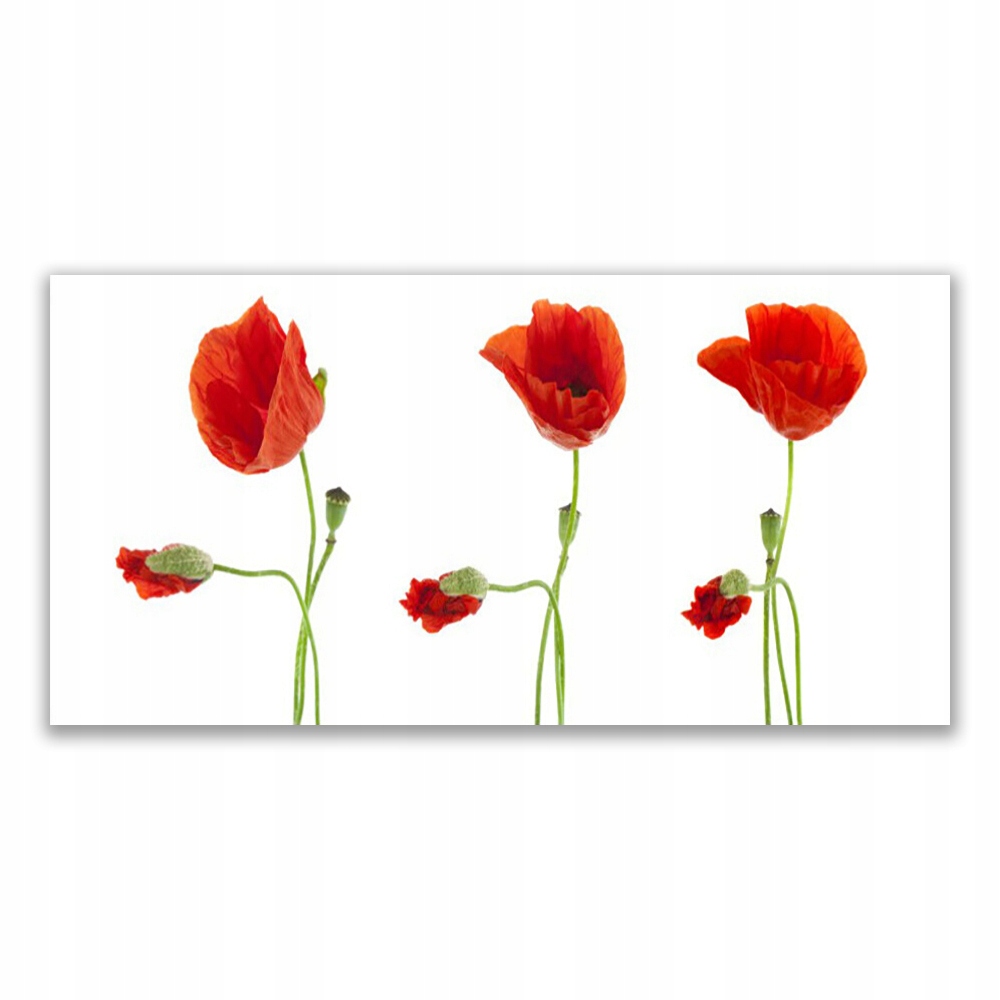 

Obraz akrylowy ścienny 120x60 Maki Roślina Natura