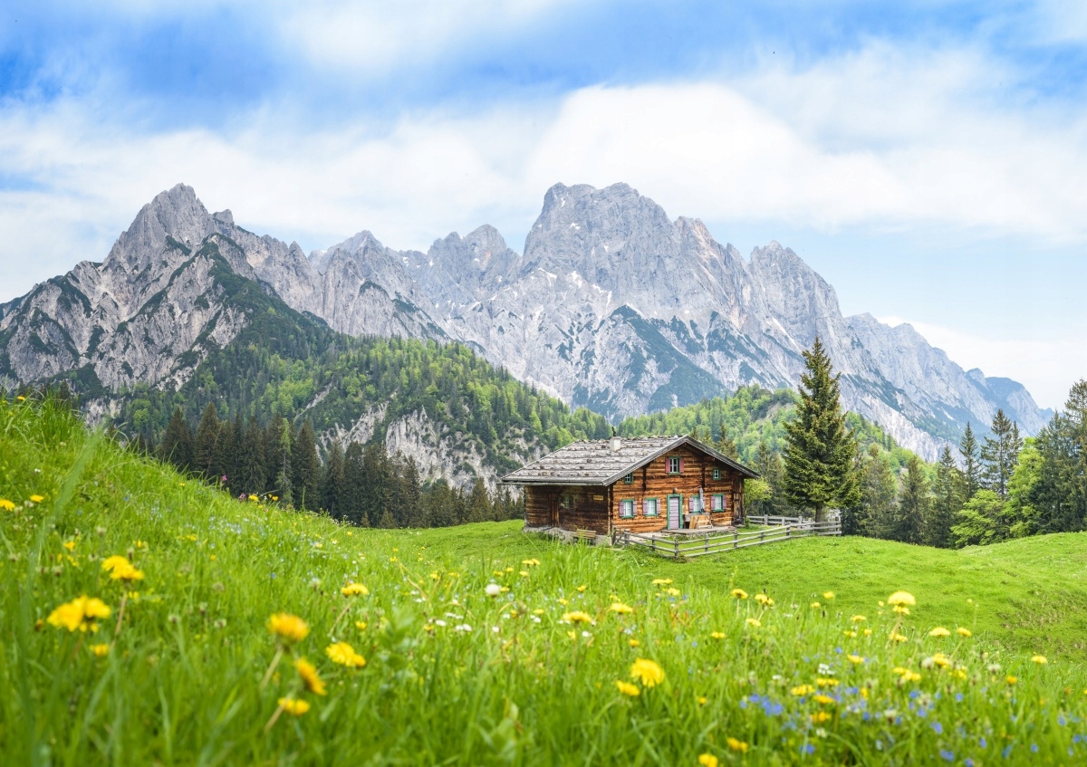 

Fototapeta Flizelinowa Salzburger Land 208x146
