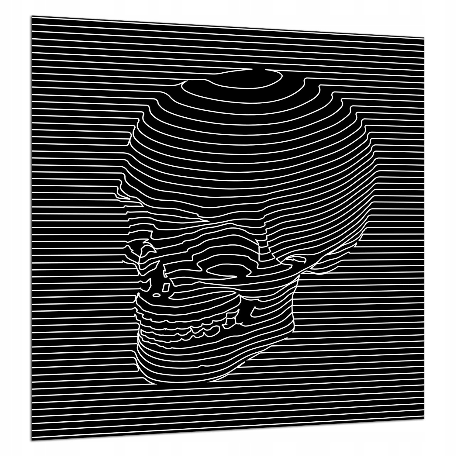 Ochranný Skleněný Panel Do Kuchyně 60x65 Lebka Lacobel 7v1
