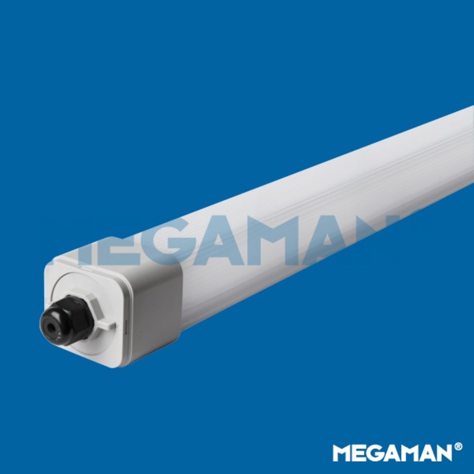 Megaman Led prachotes DINO2 FOB61500v1-pl 840 36W IP66