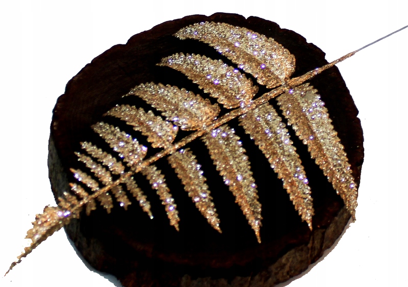 

Paproć Paprotka Gałązka Brokatowa Złota