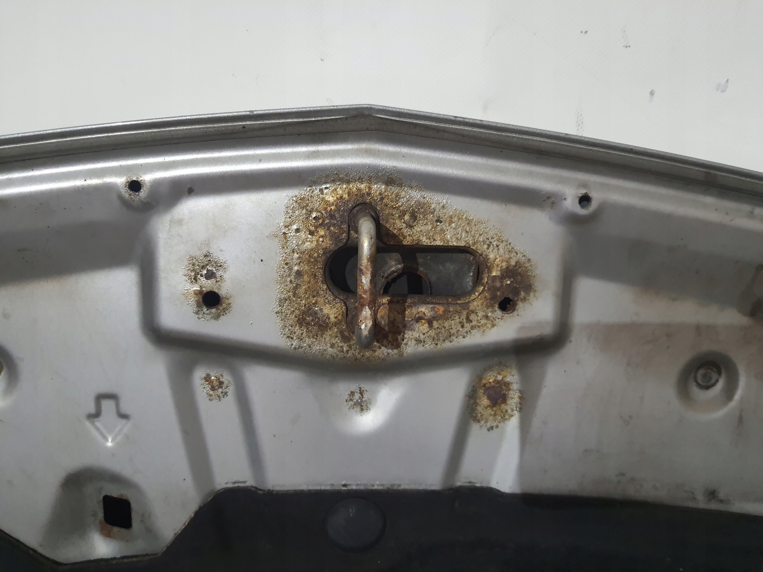 HONDA ACCORD VIII 08-15 cofano