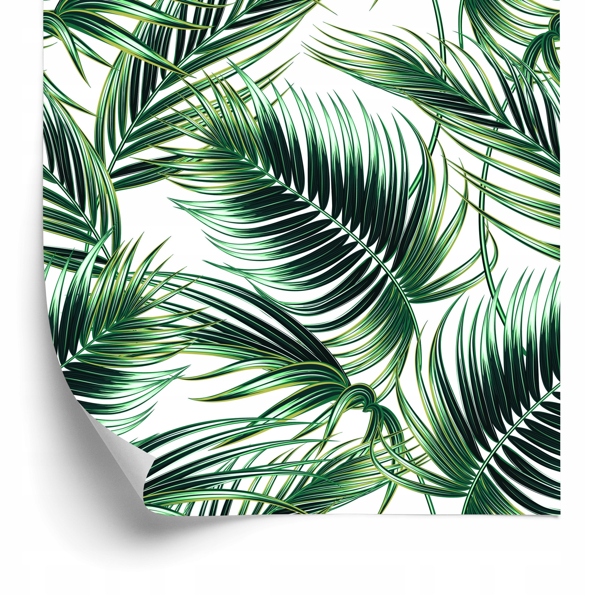 Tapeta Módne palmové listy 50x1000 cm