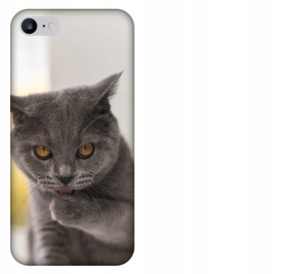 

Etui pokrowiec iPhone 8 Kot kotek smieszne zwierze