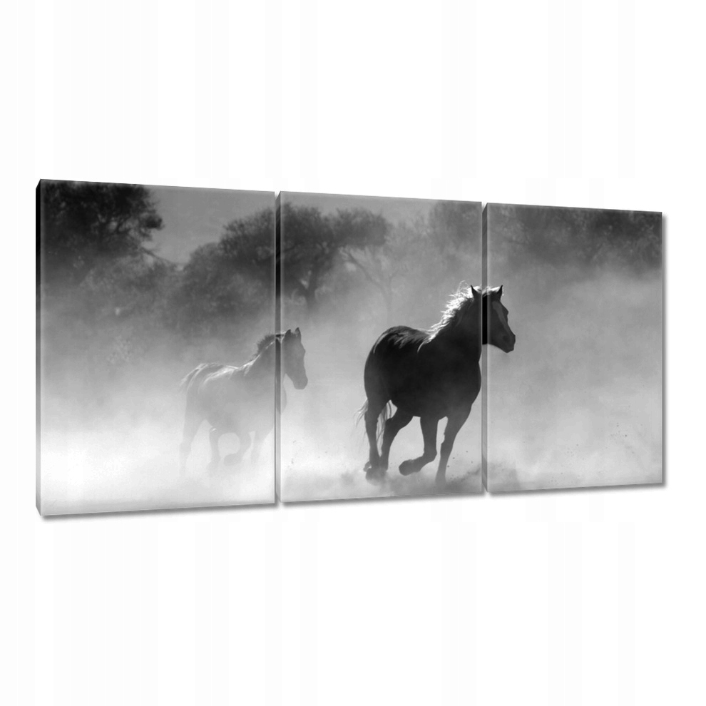 

Obrazy 120x60 Galopujące konie