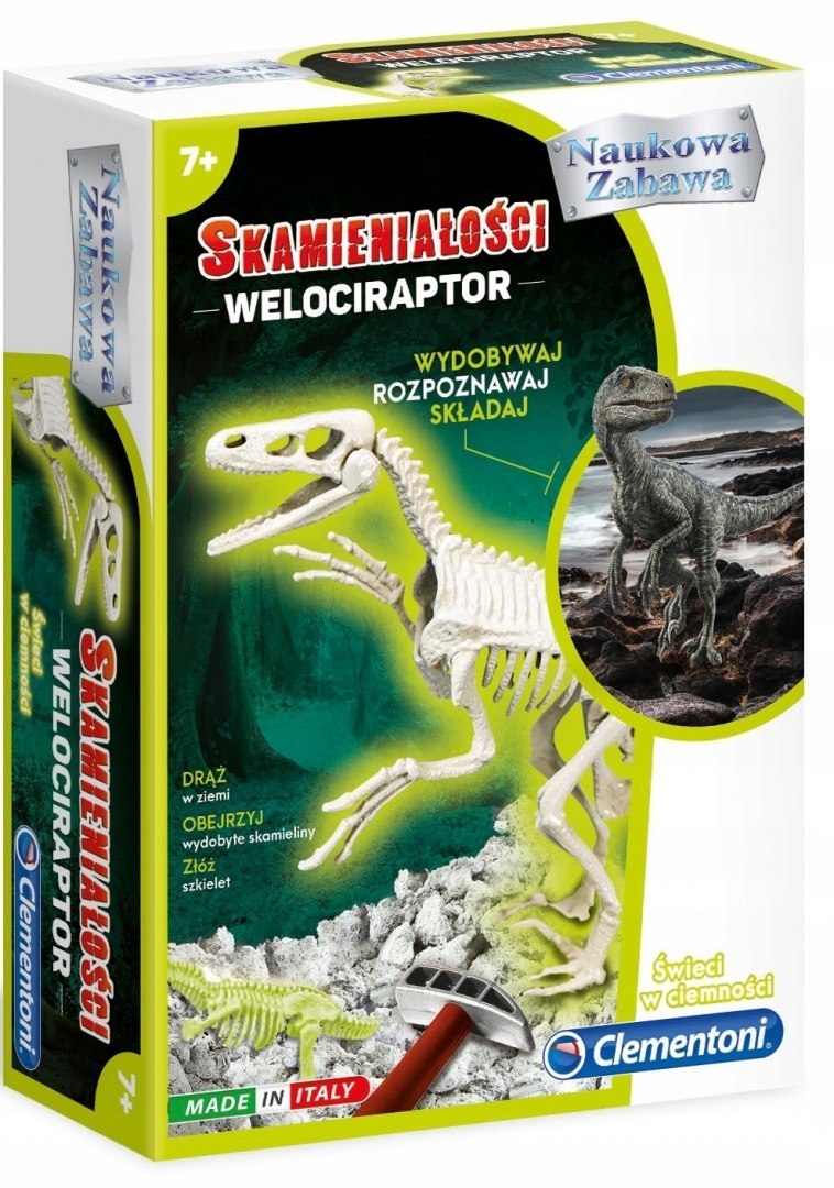 

Skamieniałości Welociraptor Dinozaury Clementoni