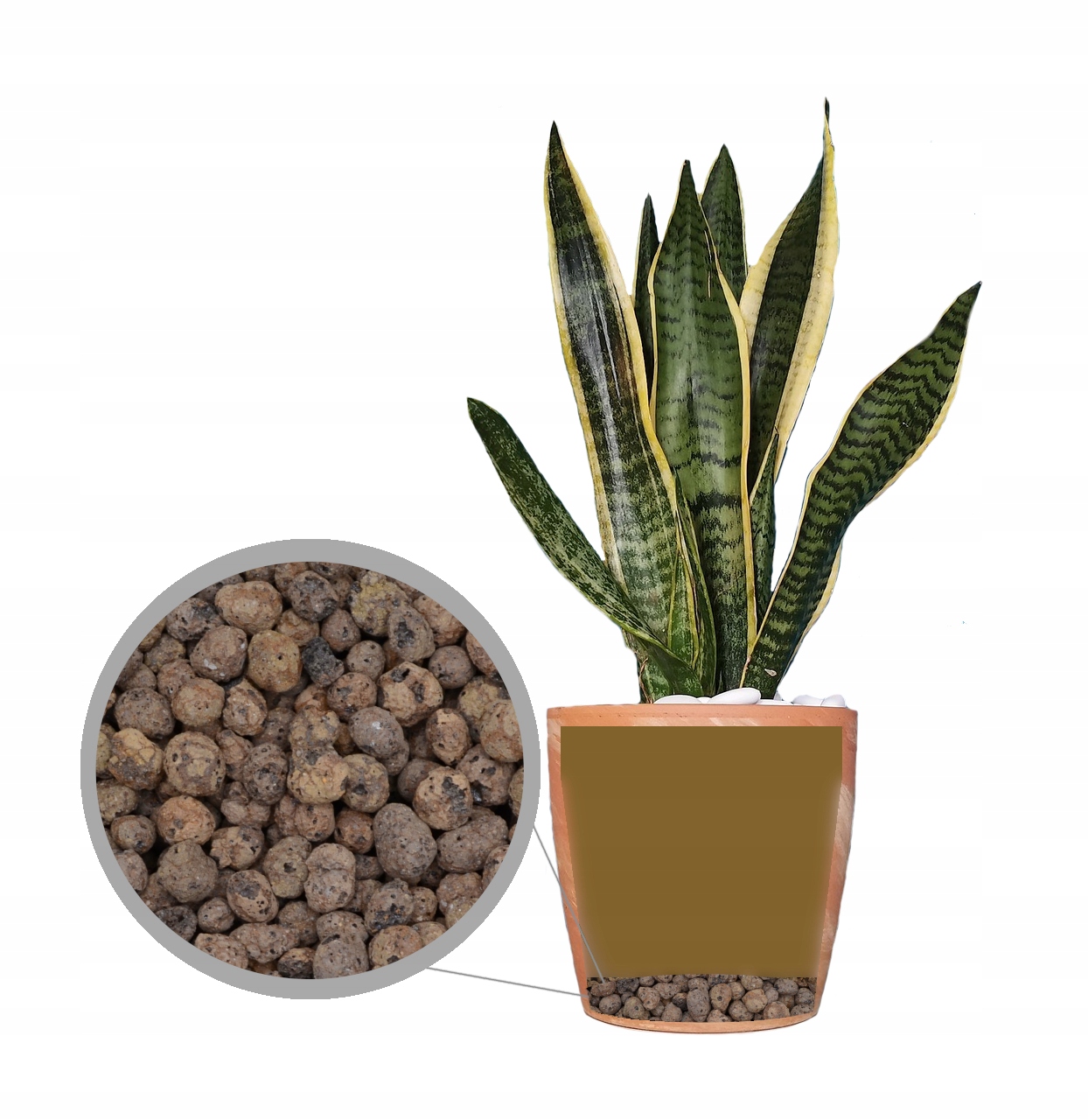 KERAMZYT OGRODNICZY 4-10 DODATEK DO PODŁOŻA 20L Kod producenta 2323