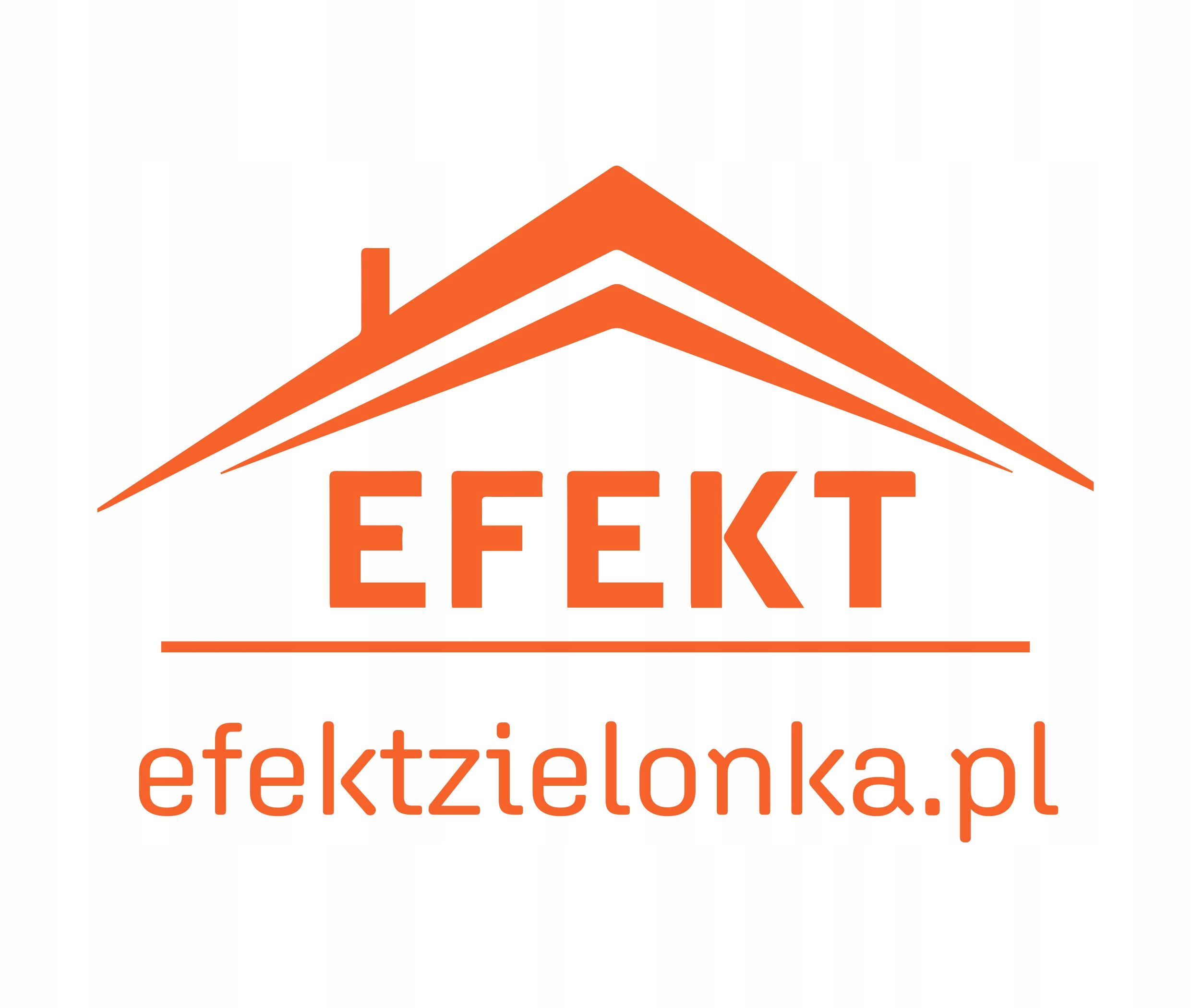 WEŁNA SKALNA ROCKWOOL 035 TOPROCK PREMIUM 18cm Marka Rockwool