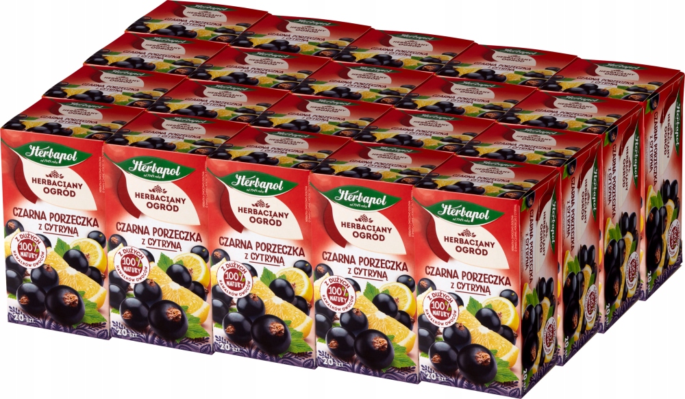 Herbapol herbata owocowa Czarna porzeczka x20