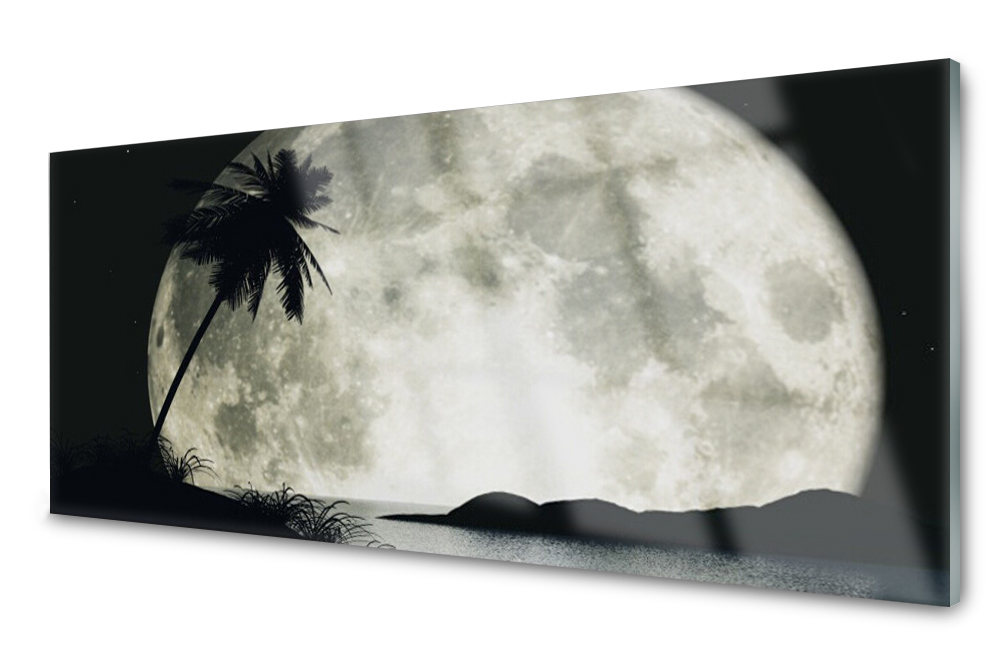 

Panel szklany do kuchni Noc Księżyc Palma 125x50