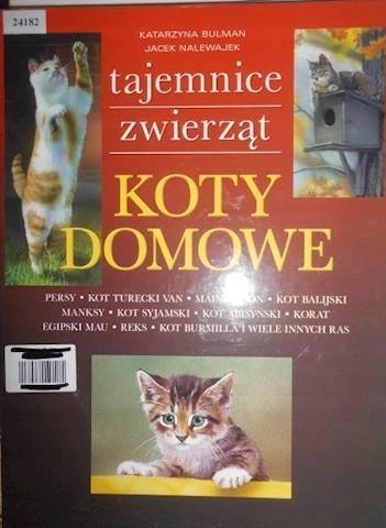 Koty domowe - Katarzyna Bulman