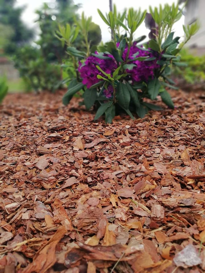 KORA SOSNOWA Ogrodowa Sortowana DROBNA 80l 20szt Kod producenta KORA SOSNOWA